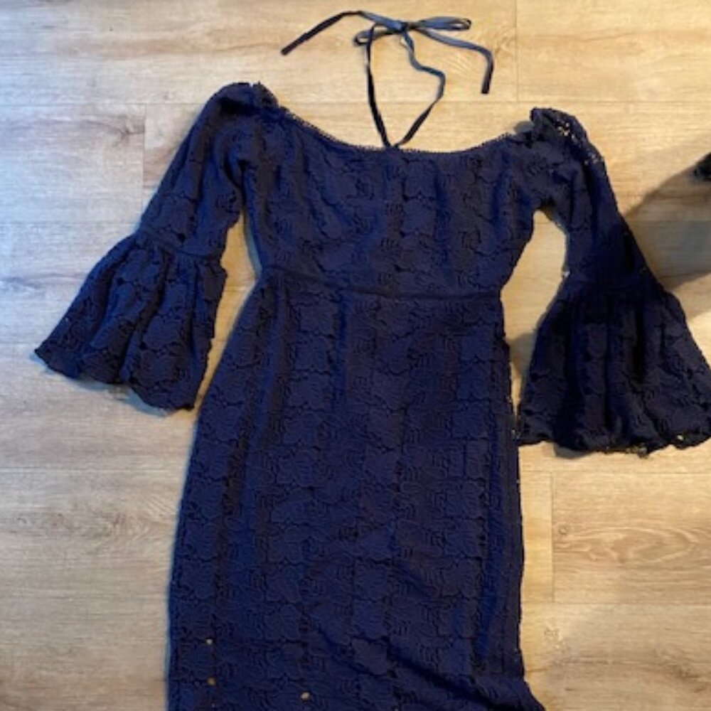 Blue Cotton Eyelet Walter Baker Dress